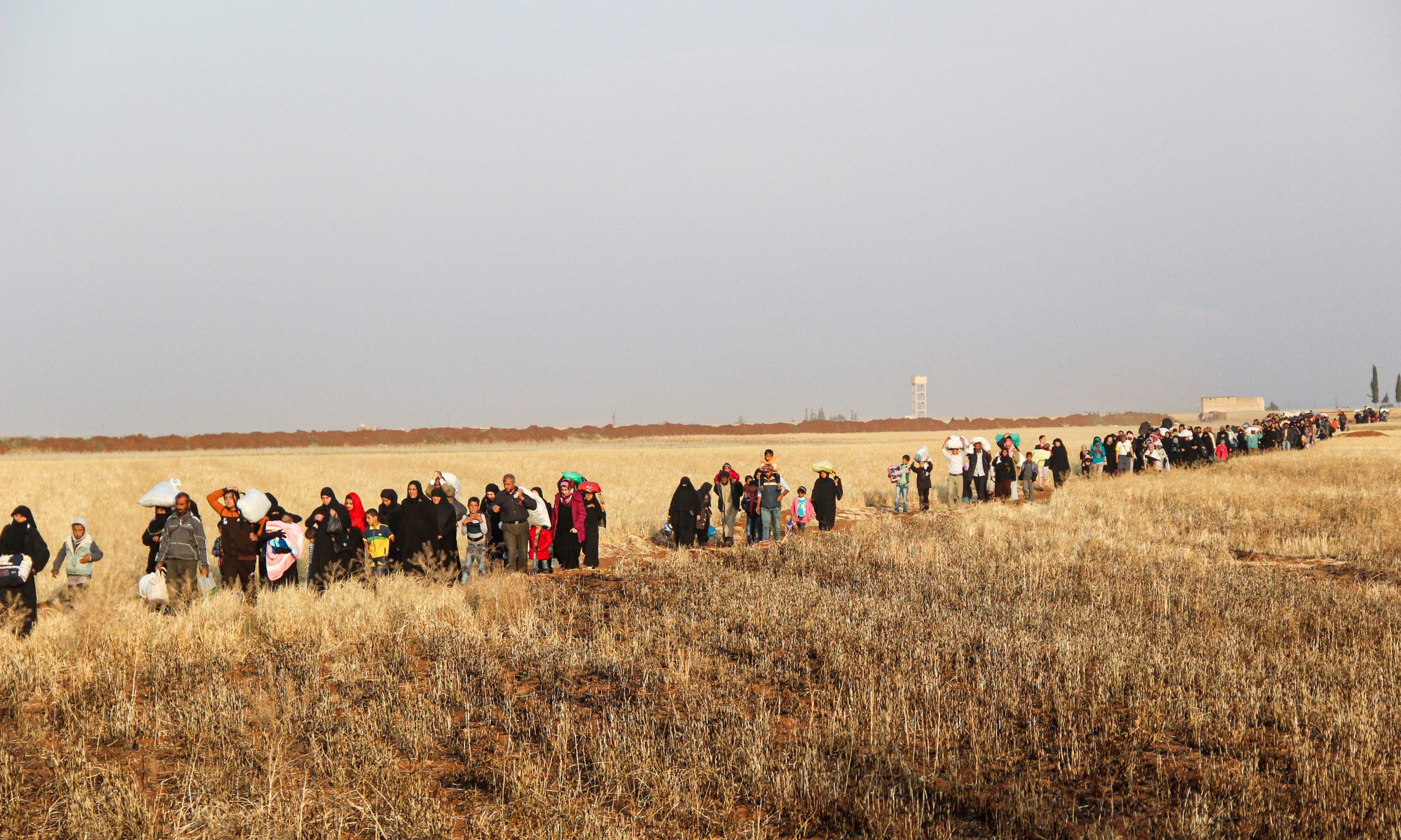photograph of large group crossing field