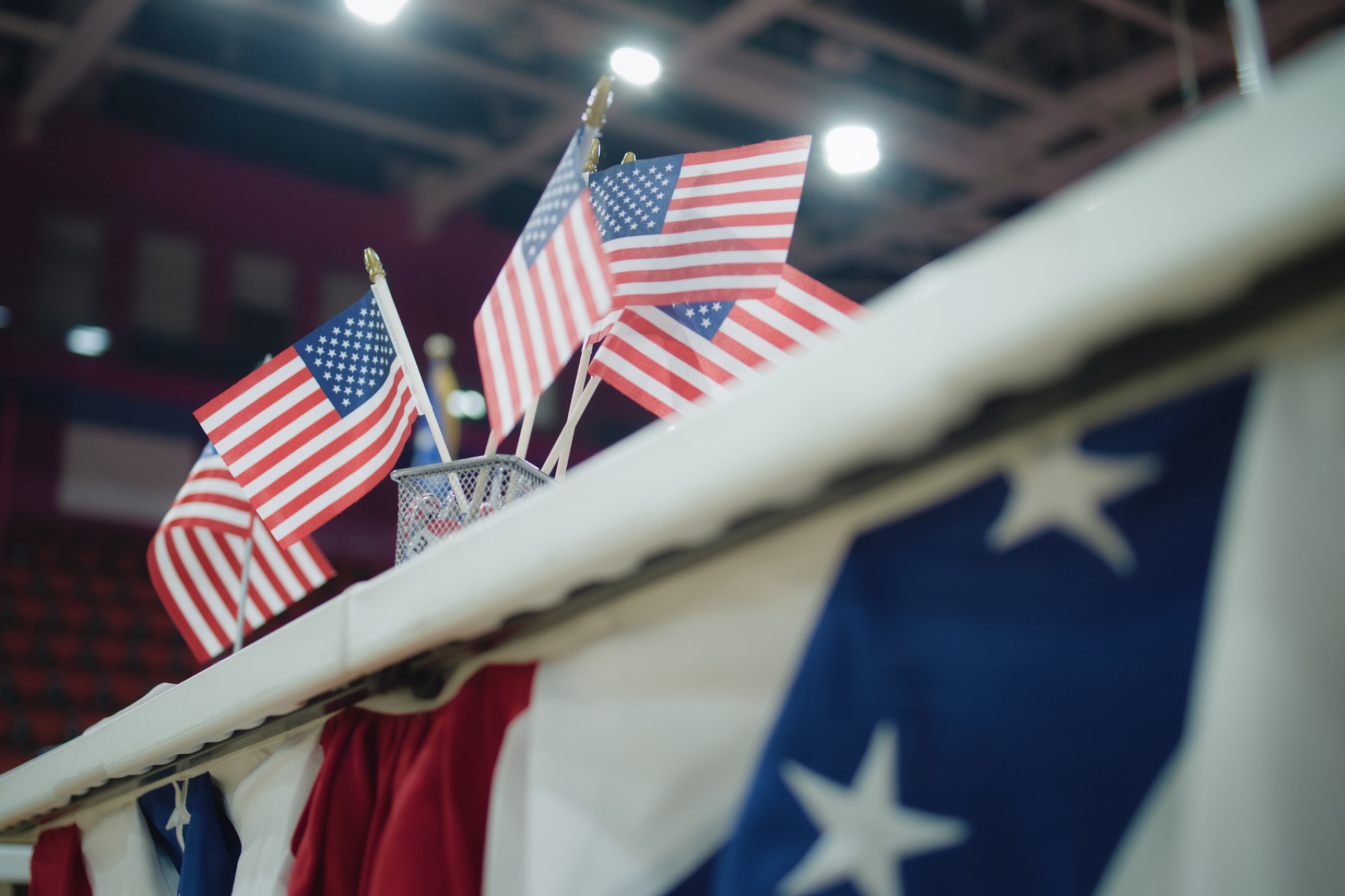 photograph of miniature flags at political rally