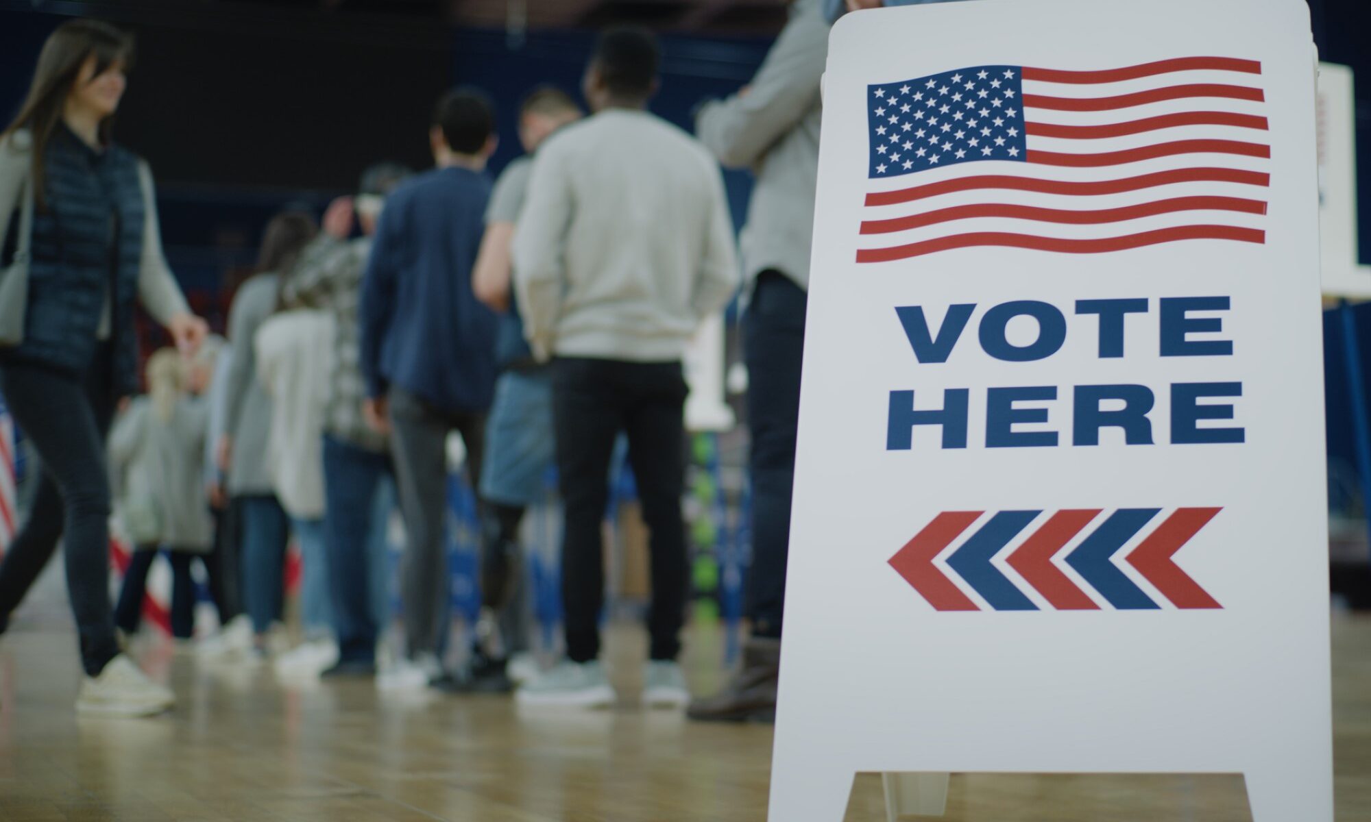 photograph of line at voting place