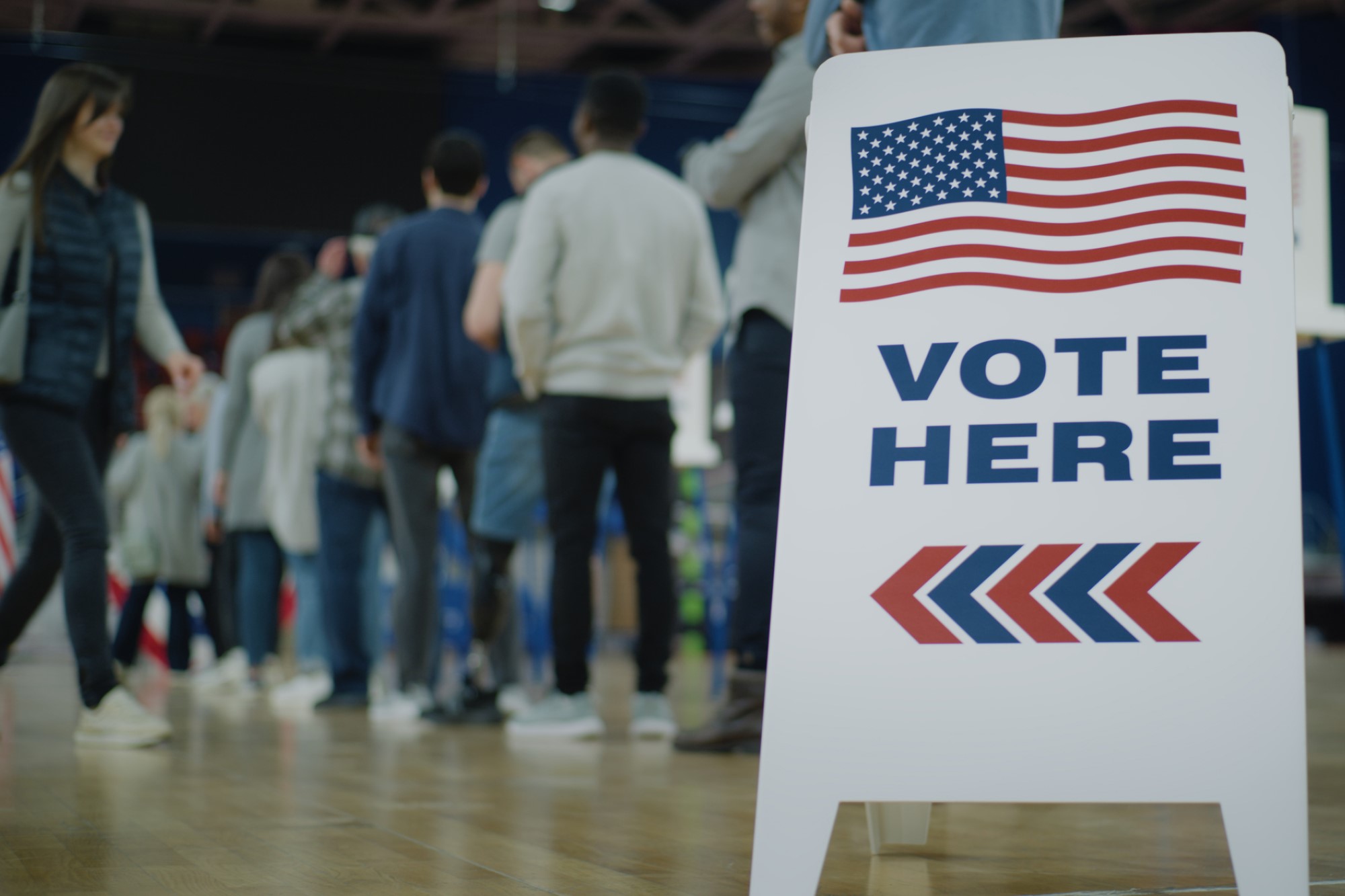 photograph of line at voting place